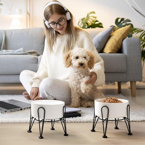 Elevated Dog Bowls (White / 3.6 Cups | 2 Pack | For Medium Dogs)