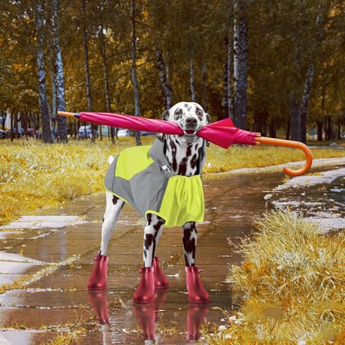 Hooded Dog Raincoat (2X-Large / Green)