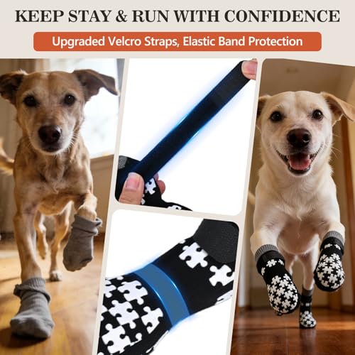Dog Paw Socks (M(Pack of 4))