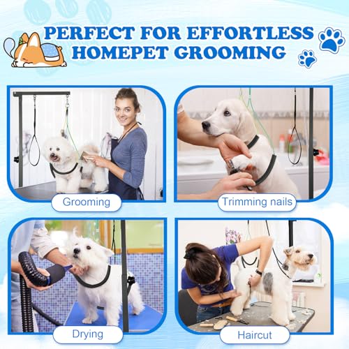Dog Grooming Table Arm with Clamp 32in (Medium)