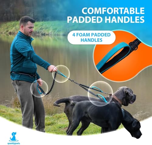 Hands Free Dual Dog Leash (Gradient Blue / 2 dogs M/L)