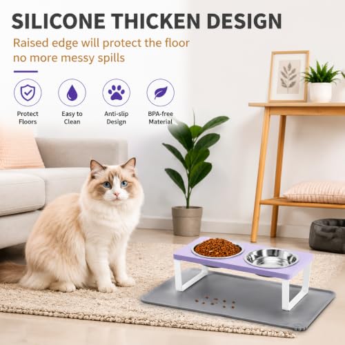Upgraded Elevated Cat Bowls with Food Mat