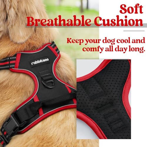 Dog Harness No Pull for Large Dogs with 2 Leash Clips (Large / Black & Red)