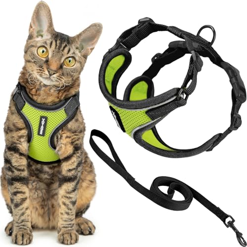 Voyager Escape (Black Trim-Lime (327) / S (Chest: 15 - 18"))
