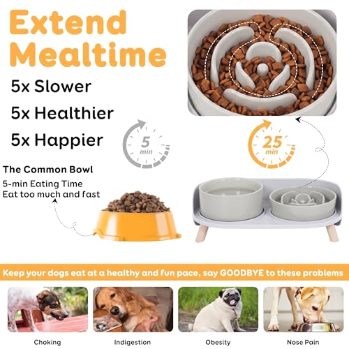 Elevated Slow Feeder Dog Bowls with Splash Proof Stand (Medium / Grey)
