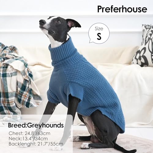 XXL Dog Sweater (Blue / XX-Large)