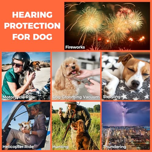 Dog Ear Muffs for Noise Protection (Orange / Medium)