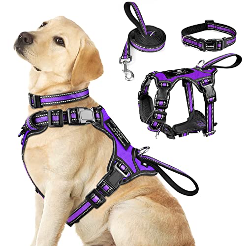 Pet Harness Collar and Leash Set (Large / Purple)