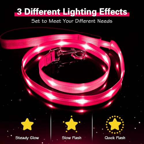 Light Up Dog Leash (Pink)