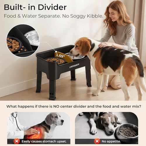 Mess Proof Elevated Dog Bowls for Small Dogs with Slow Feeder (Matte Black / Small)