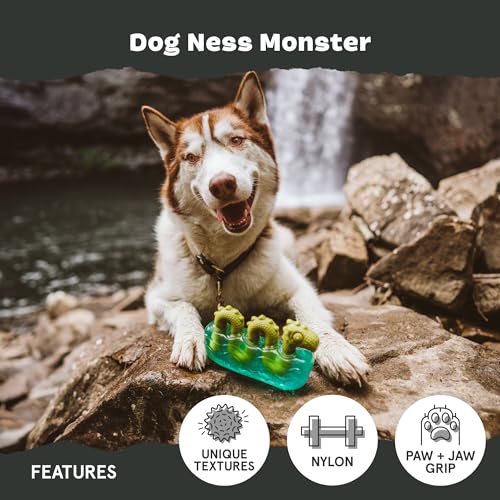 Dogness Monster Super Chewer (Medium/Large / Dog Ness Monster)