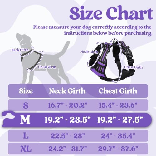 Dog Harness Medium Sized (Medium / Purple)