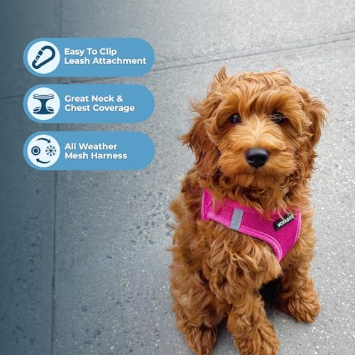 Voyager Step in Air All Weather Mesh Harness and Reflective Dog 5ft Leash Combo with Neoprene Handle (Harness Leash Set (Fuchsia) / XXXS (Chest: 11 - 12"))