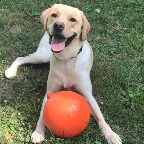 Tug-n-Toss - Heavy Duty Chew Ball w/ Handle (Orange, 8") (Orange / Large (8 in))