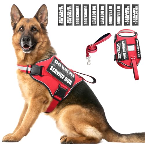 Service Dog Harness and Leash Set (X-Large / Red)