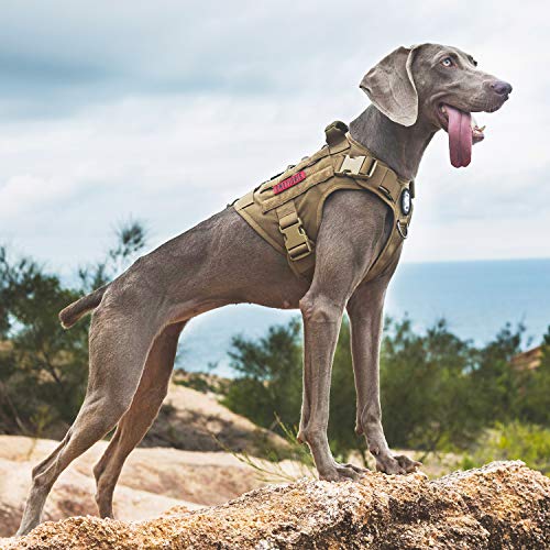 Tactical Dog Harness with Handle No (X-Large / Brown)
