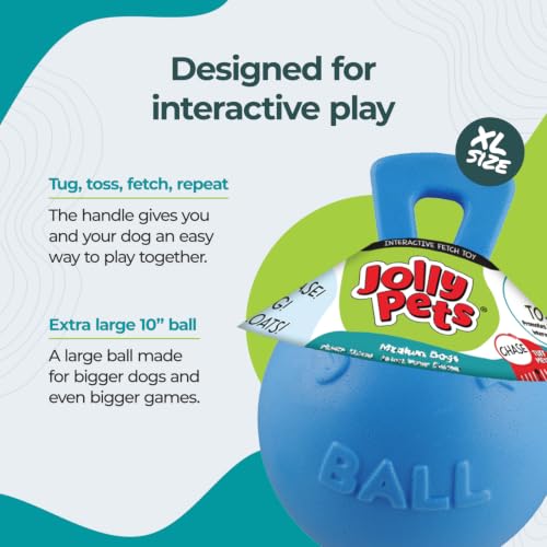 Tug-n-Toss Heavy Duty Dog Toy Ball with Handle, 10 Inches/X-Large, Blueberry for All Breed Sizes (Blueberry / XL (10 in))