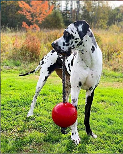 Romp-n-Roll Rope and Ball Dog Toy, 8 Inches/Large, Red (608 RD) (Red / Large (8 in))