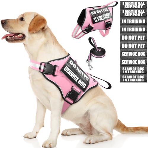 Service Dog Vest Harness and Leash Set+10 Patches (Large / Pink)