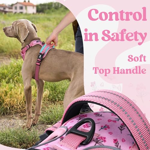 Dog Harness for Large (Large / Floral Pink)