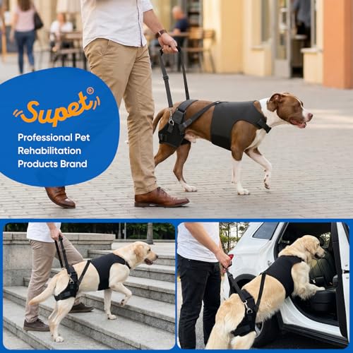 Dog Hip Dysplasia Brace with Back Lift Strap (2XL)