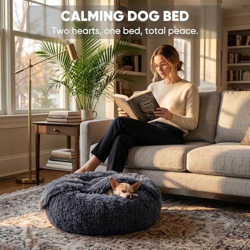 Dog Beds for Small Dogs (20.0"L x 20.0"W x 7.0"Th / Grey)