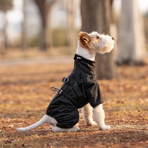 Waterproof Dog Raincoat (L Back Length 16.1" / Black)