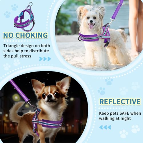 No Pull Small Dog Harness and Leash Set with Front Clip (Medium / Purple)