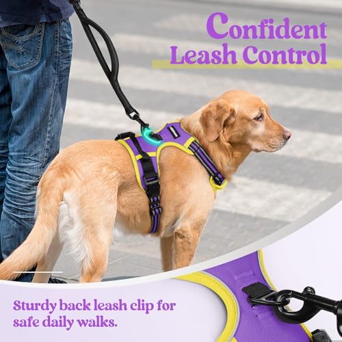 Dog Harness No Pull for Large Dogs with 2 Leash Clips (X-Large / Purple & Yellow)