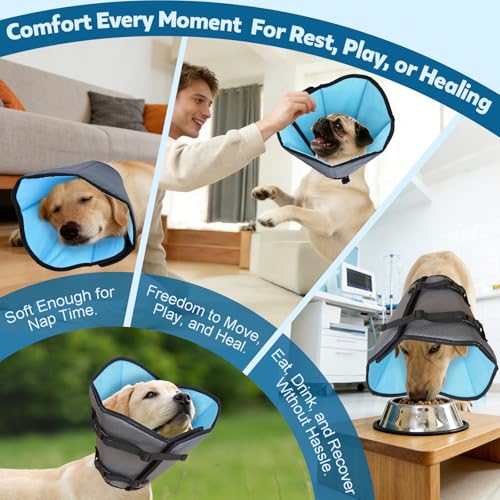 Soft Dog Cone Collar After Surgery (Blue / 2XL(Neck:15.8"-21.3"/Depth:13"))