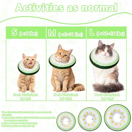 Cat Cone Collar Soft (Cucumber / Small)
