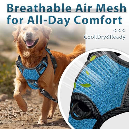 No Pull Dog Harness for Large Dogs (X-Large(Chest:30-38”) / Blue/Black)