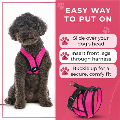 Comfort X Head (X-Large Chest (20.5-28") / Flamingo Pink)