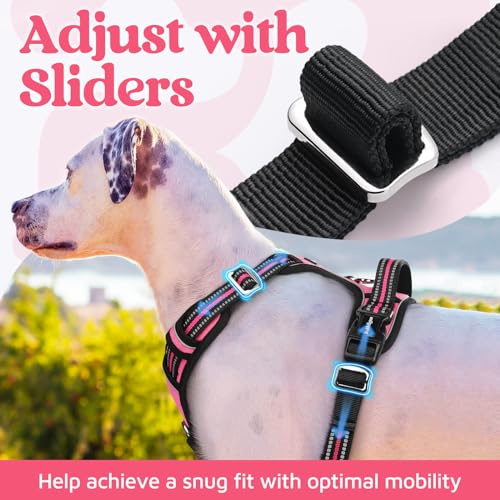 Dog Harness Small Sized (Pink / Small)
