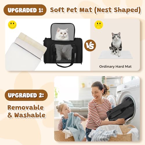 Cat Carrier Soft Up to 16 Lbs (17.0"L x 11.0"W x 11.0"H / Black)