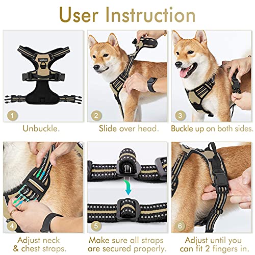 Dog Harness No Pull for Small Dogs with 2 Leash Clips (Small / Beige)