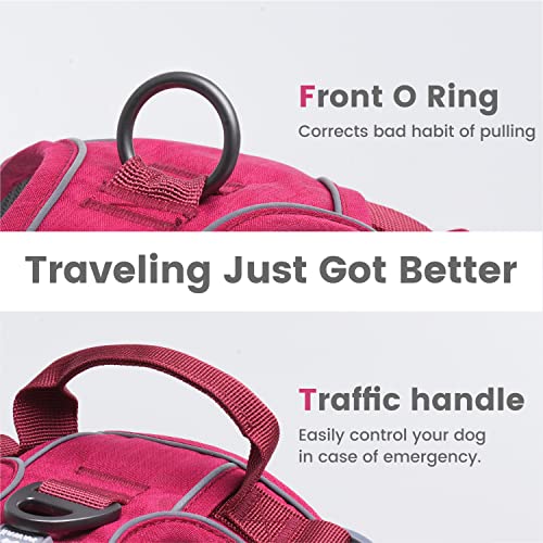 Small Dog Harness (XS (Chest: 12"-17" ) / Wine Red)