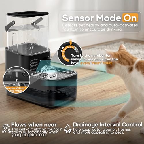 3L Filterless Cat Water Fountain (Black)
