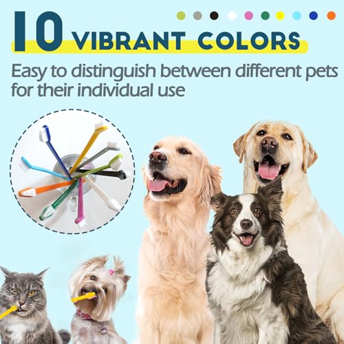 Dog Toothbrush Set of 10 (10 pcs)