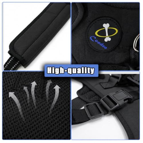 Dog Lift Harness for Large Dogs (Black / L)