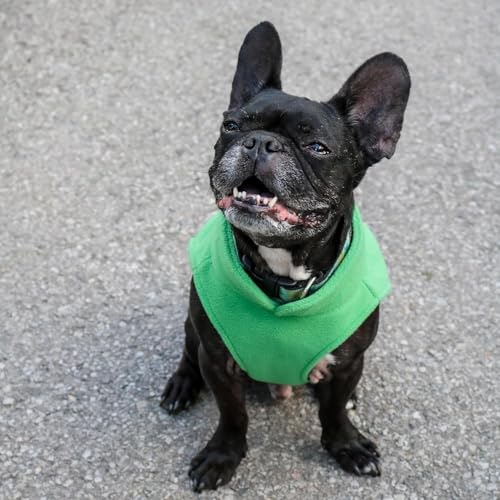 Dog Fleece Vest Sweater with Leash Ring (XXL (25-35lbs) / Green)
