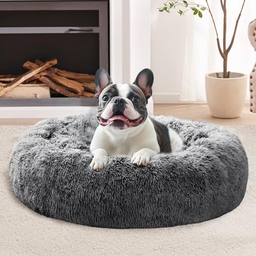 Calming Small Dog & Cat Bed for Indoor Cats (Dark Grey / 20.0"L x 20.0"W x 6.0"Th)