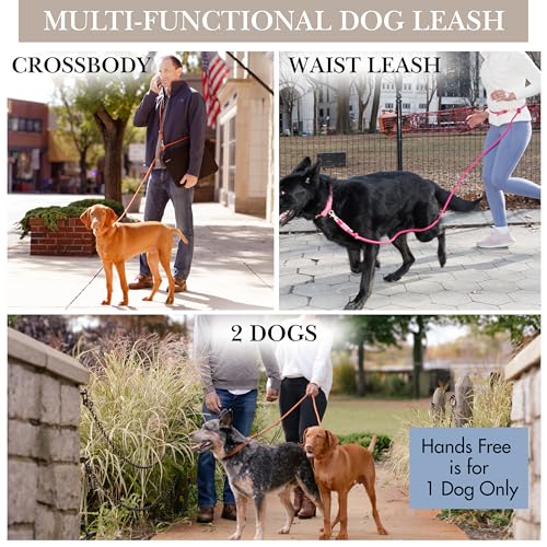 Hands Free Dog Leash (Pink / 8.2 ft x 3/8 in)