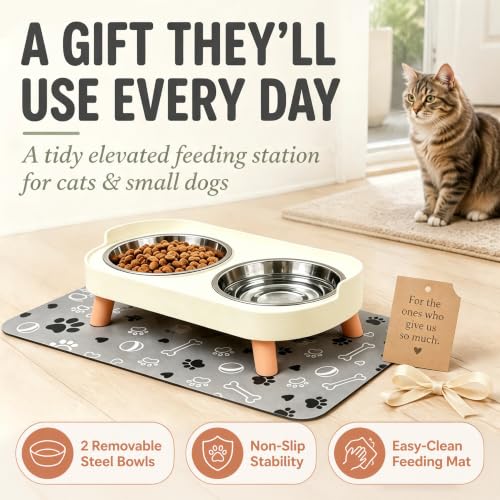 Elevated Dog Bowls with Mat (White)