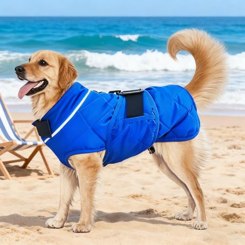 Weighted Dog Vest (Blue / Medium)
