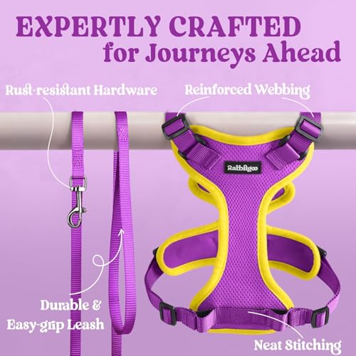 Cat Harness and Leash Set (M / Purple & Yellow)