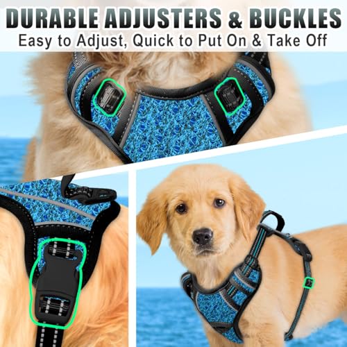 Dog Harness for Small Sized Dog No Pull Dog Vest ID Tag Pocket (Blue/Black / X-Small)