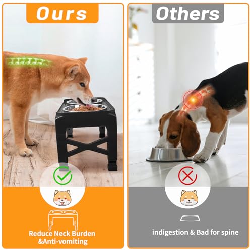 Elevated Dog Bowls with 2 Stainless Steel Food & Water Raised Bowls with No Spill Edge Non (M (8" for M/L Dogs) / Black)
