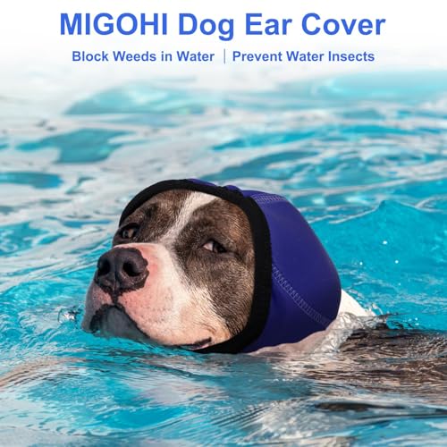 Dog Ear Muffs Noise Protection (S / Navy Blue)