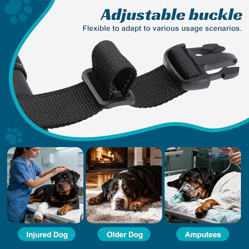 Dog Sling Adjustable Dog Lift Harness for Rear Legs (Large)
